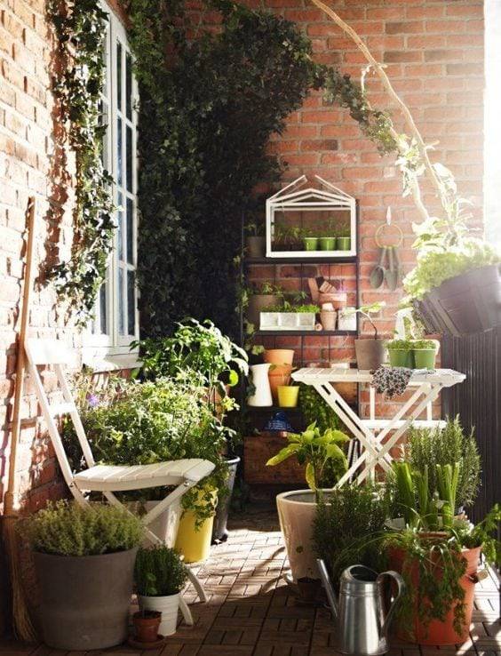 An Urban Herb Garden