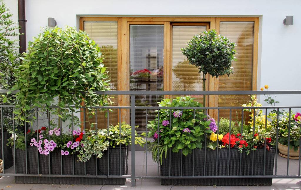 The Uk Gardens