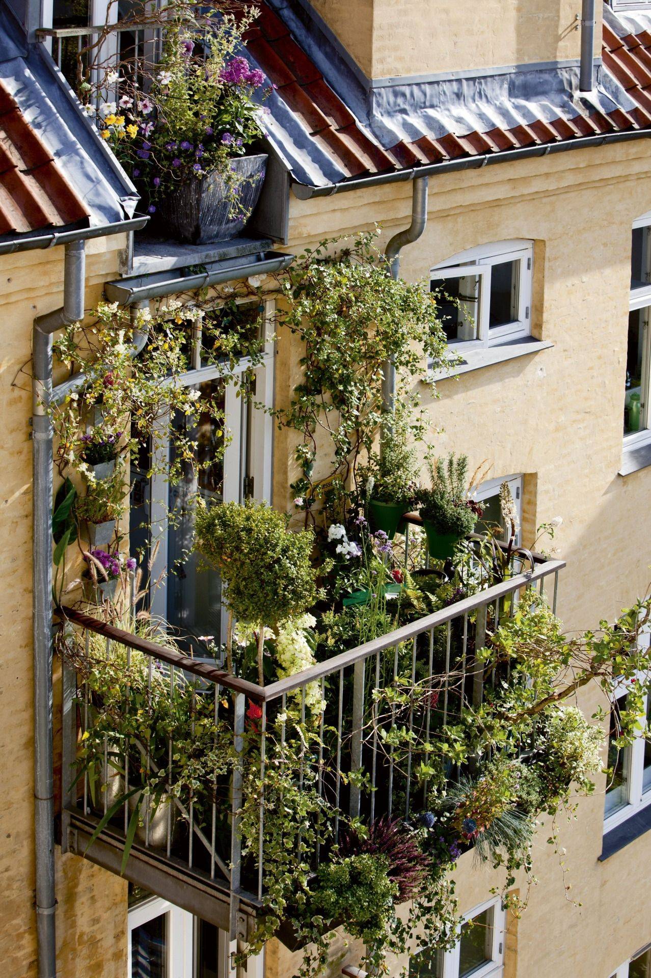 A Small Urban Balcony Garden Arts