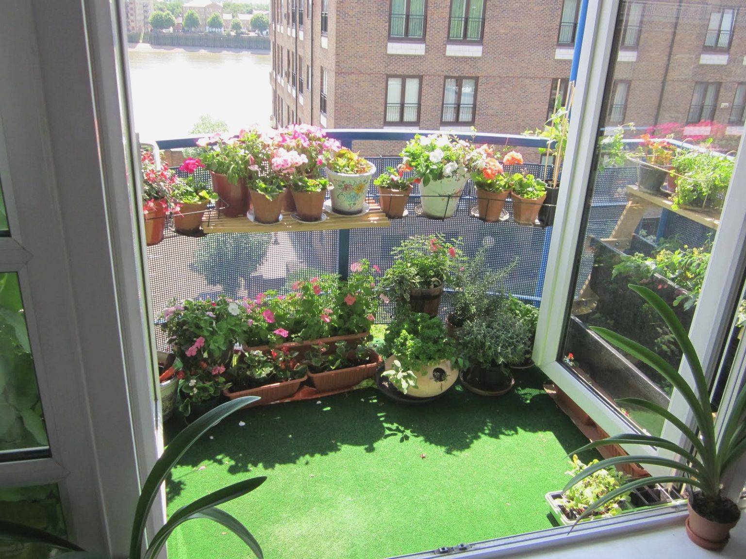 Balcony Gardens