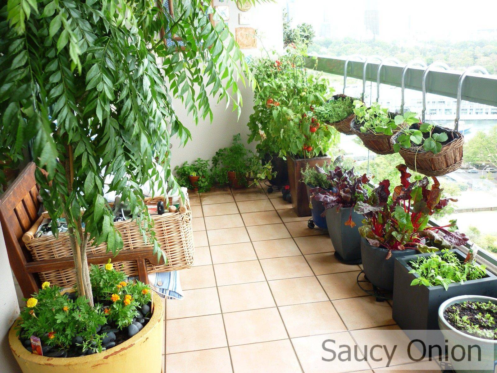 Beautiful Apartment Balcony Vegetable Garden Ideas Balcony
