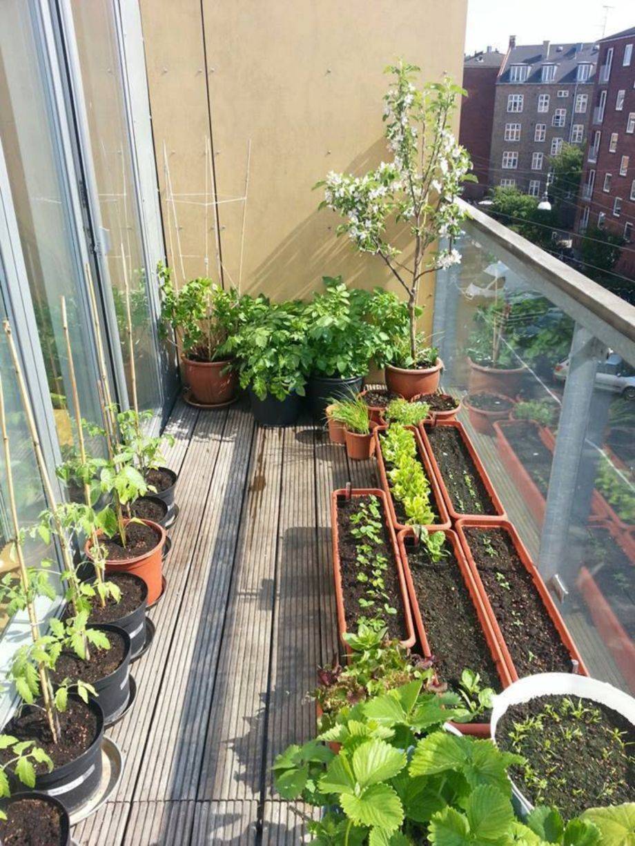 Beautiful Apartment Balcony Vegetable Garden Ideas Balcony