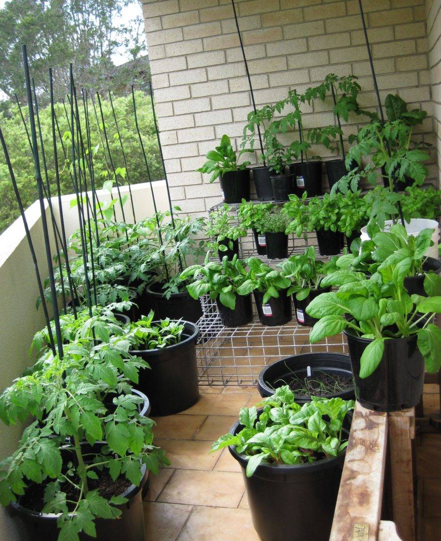 Little Balcony Garden Ideas