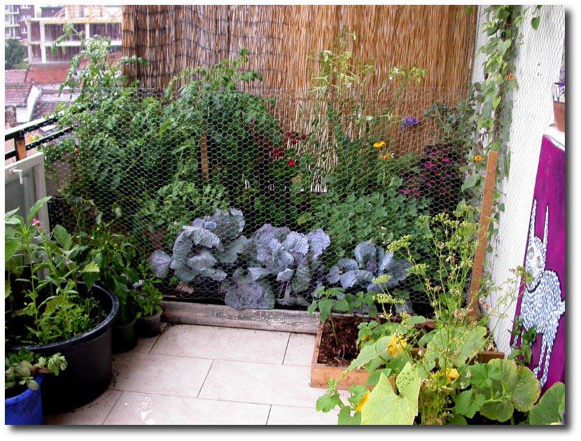 Small Balcony Garden Ideas