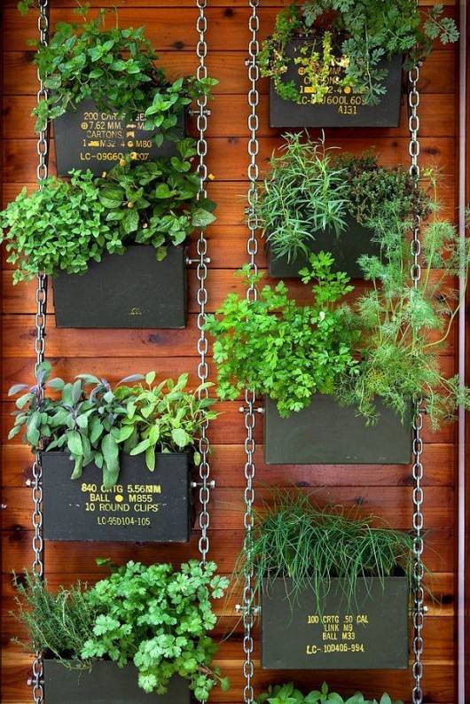 Diy Vertical Garden Projects