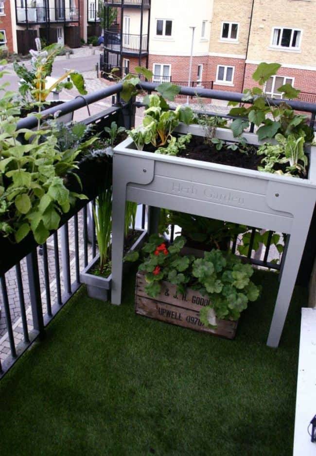 A Small Urban Balcony Garden Arts
