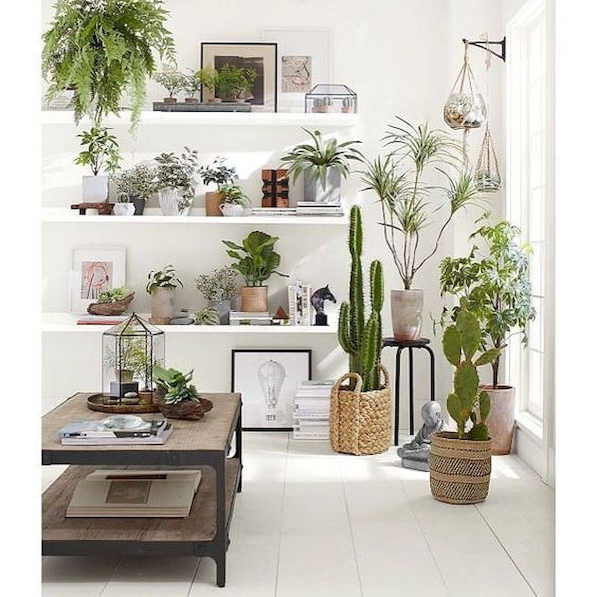 Smart Apartment Garden Indoor Decor Ideas