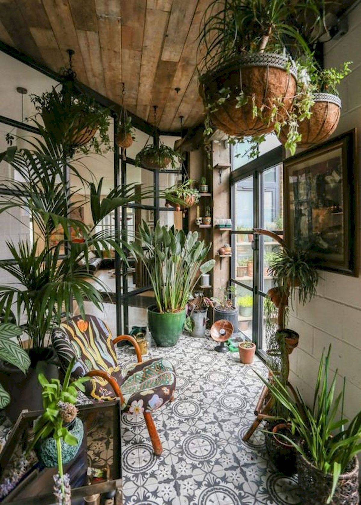 A Brooklyn Apartment House Plants
