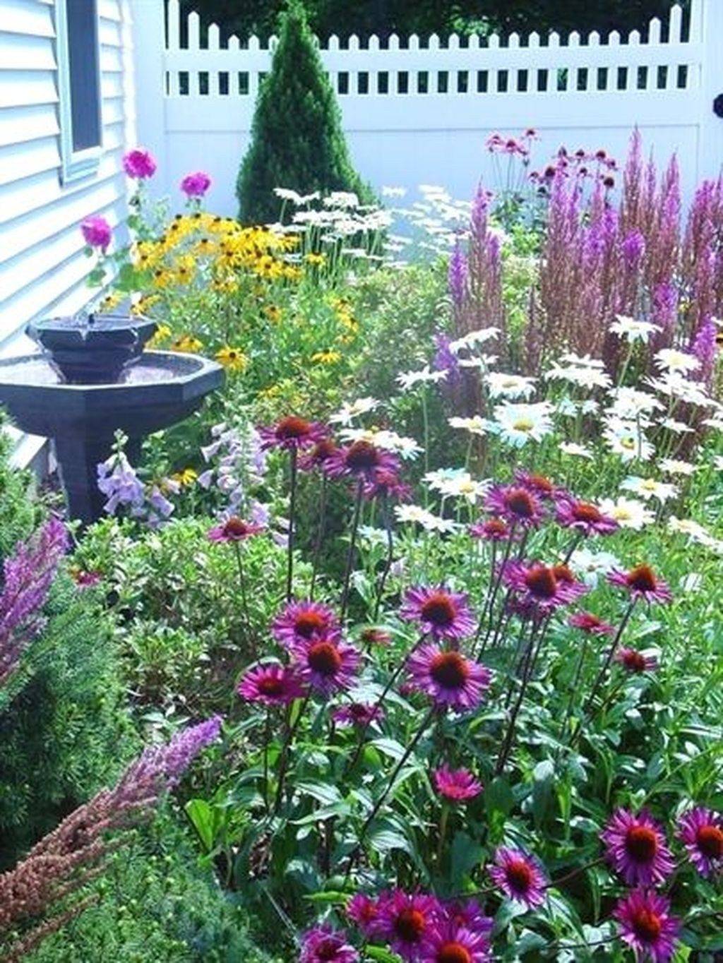 Garden Designs Foundation Shrubs