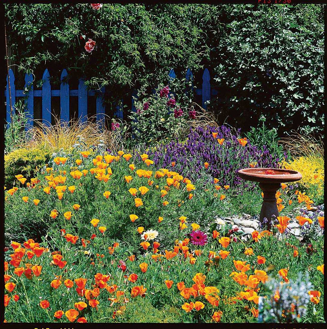 Easycare Flower Bed Ideas