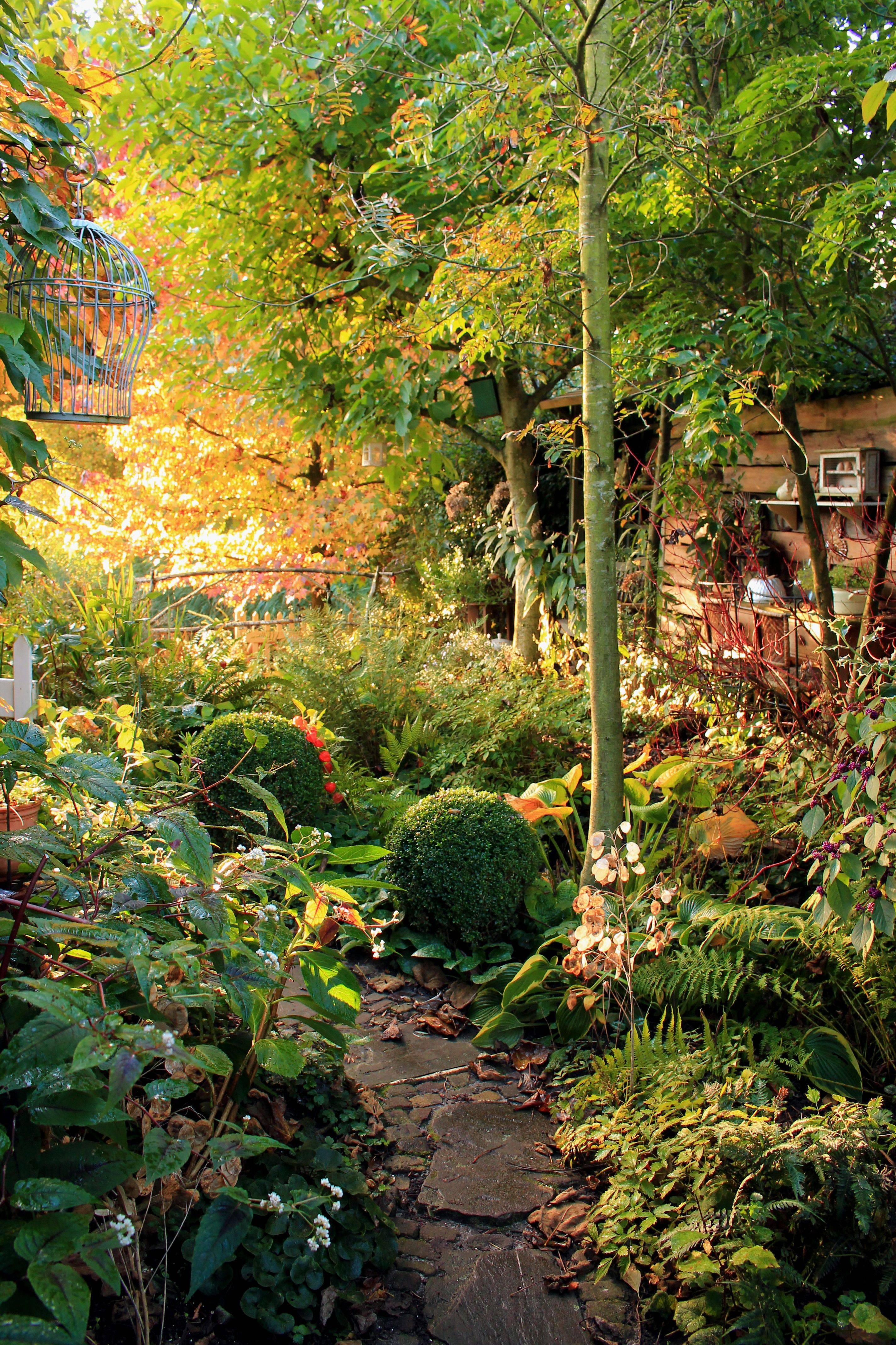 Autumn Cottage Garden