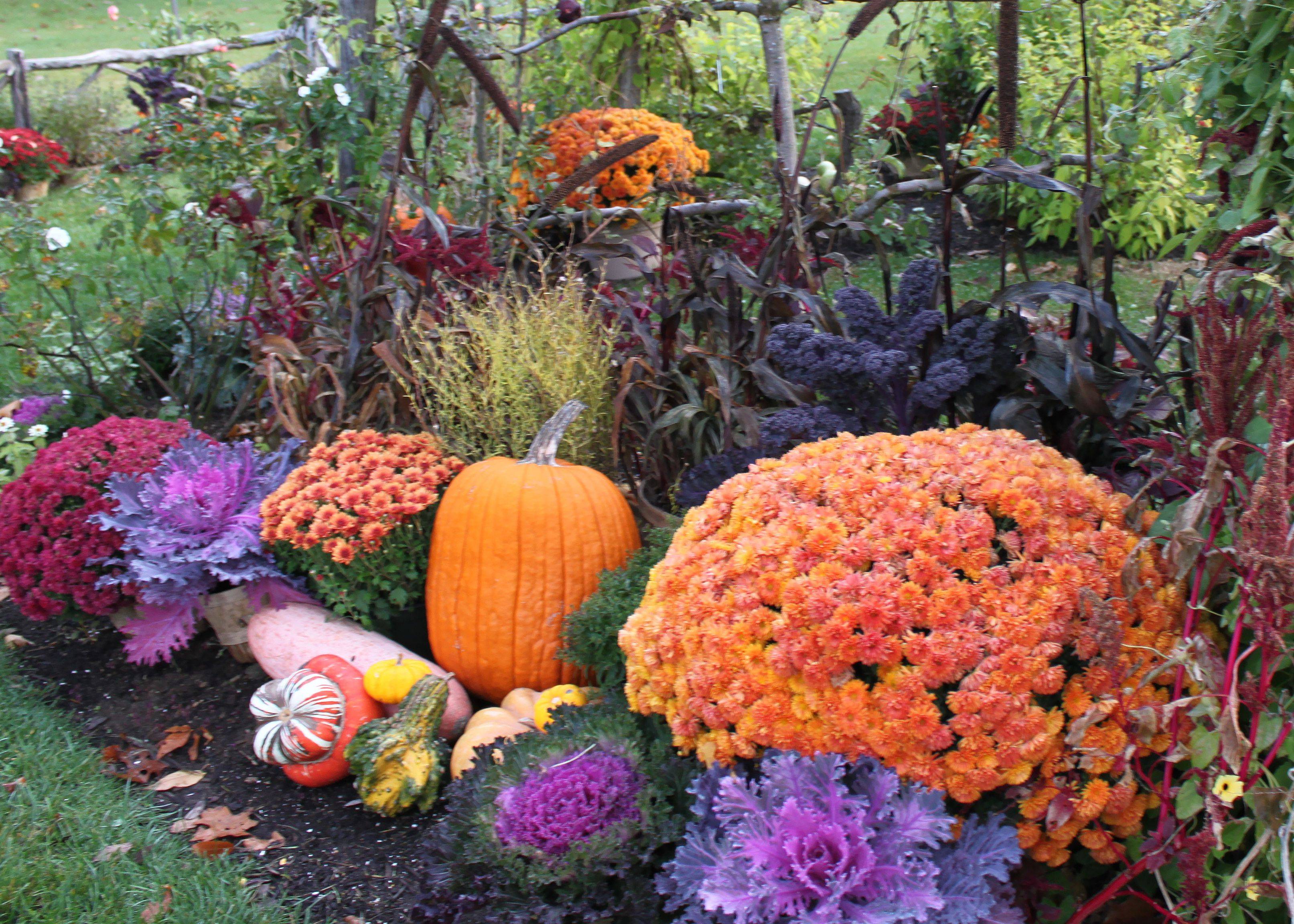 23 Autumn Cottage Garden Ideas You Should Check SharonSable