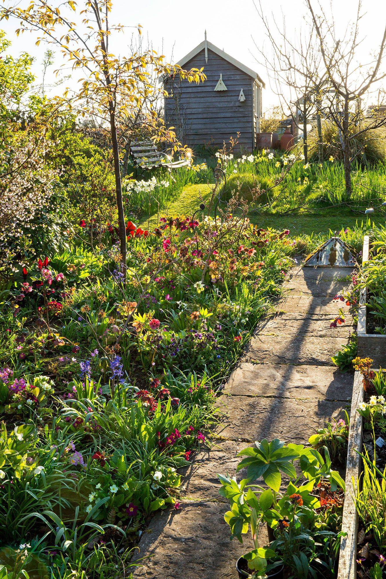 Spring Cottage Garden Design