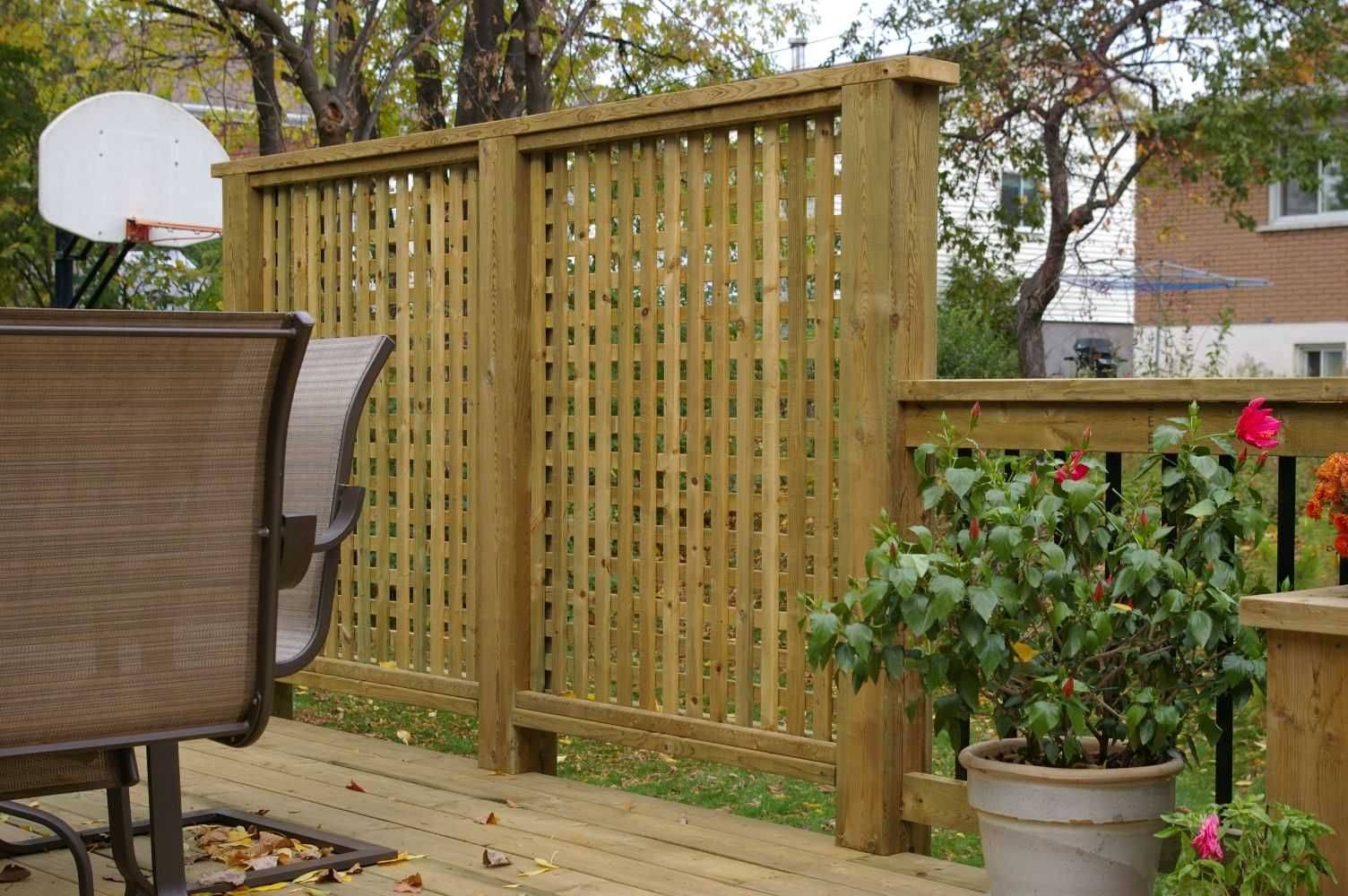 A Garden Privacy Screen