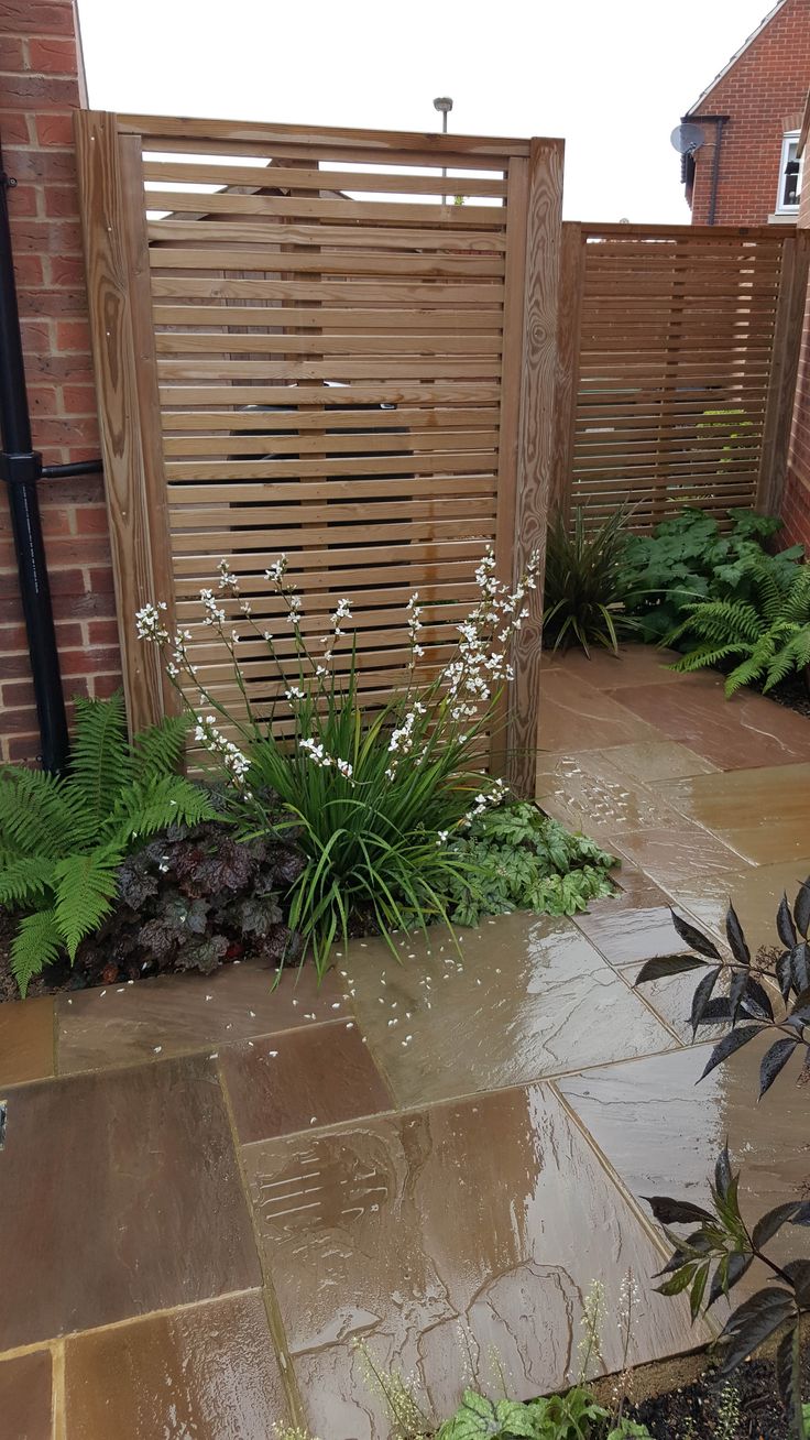 Backyard Privacy Screen Ideas