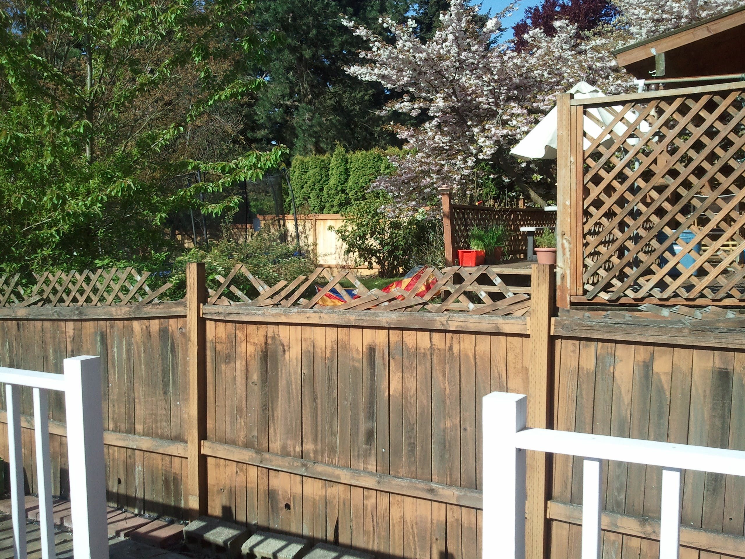 Backyard Privacy Ideas