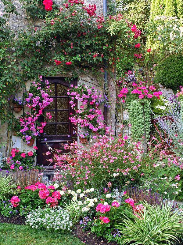 Beauty Garden Ideas