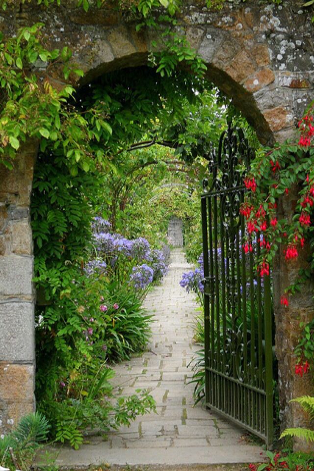 Flower Gardens Wallpapers