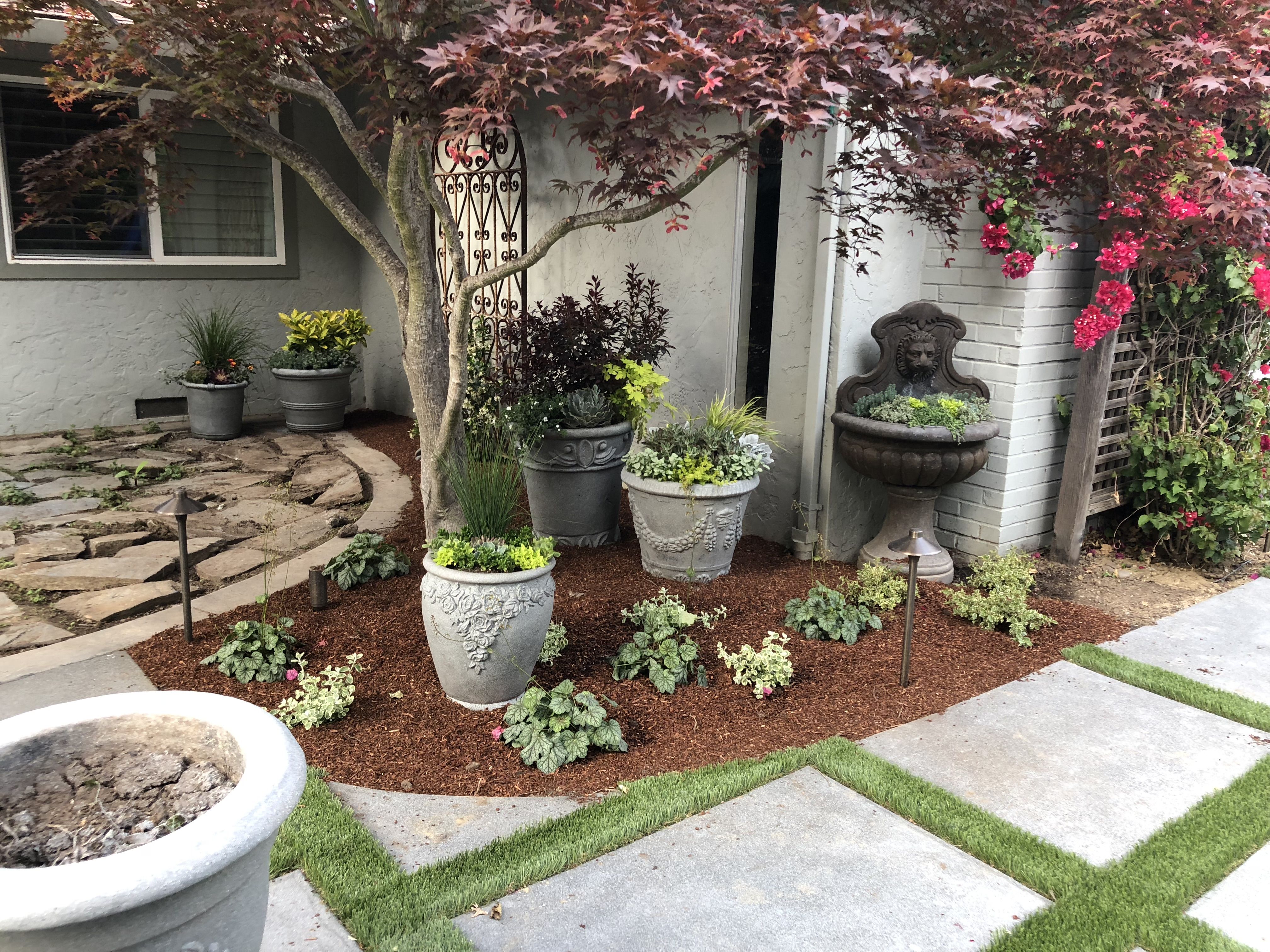Shady Corner Landscaping Ideas