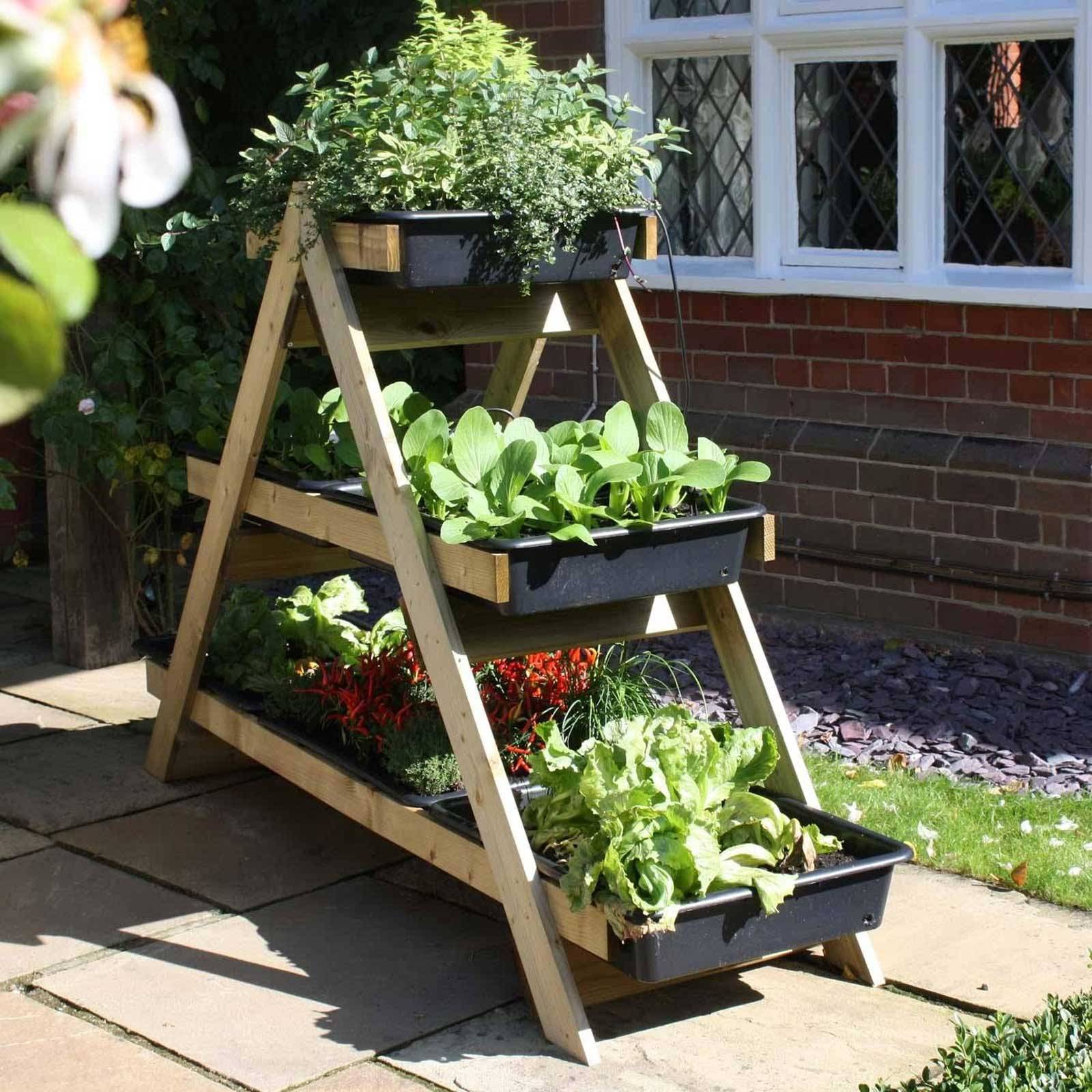 Creative Vegetable Garden Ideas