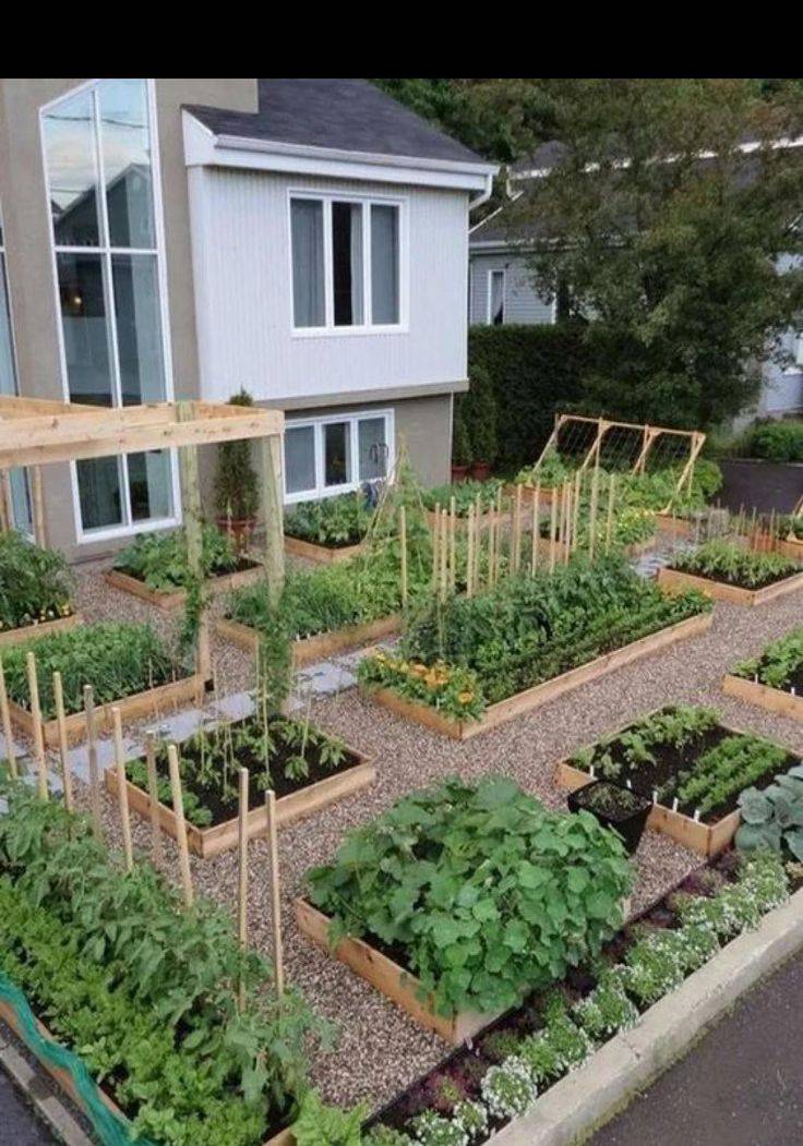Creative Vegetable Garden Ideas And Decorations Vertical Vegetable