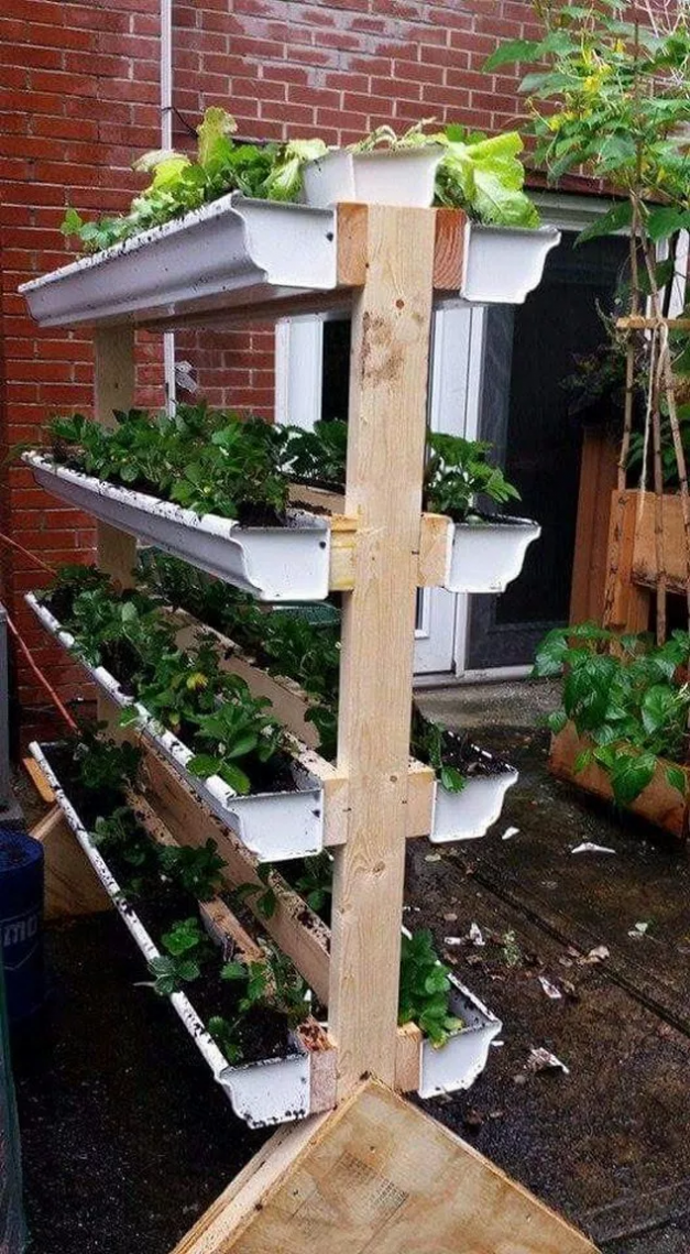 Easy Diy Trellis Ideas