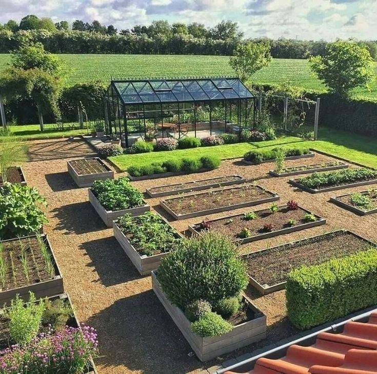 Vegetable Garden Design