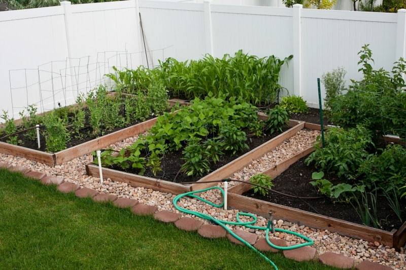 Small Vegetable Gardens