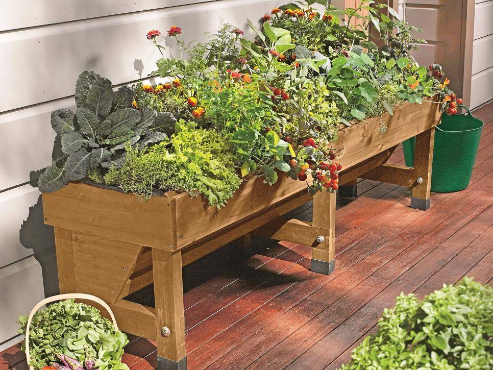 A Smallspace Vegetable Garden