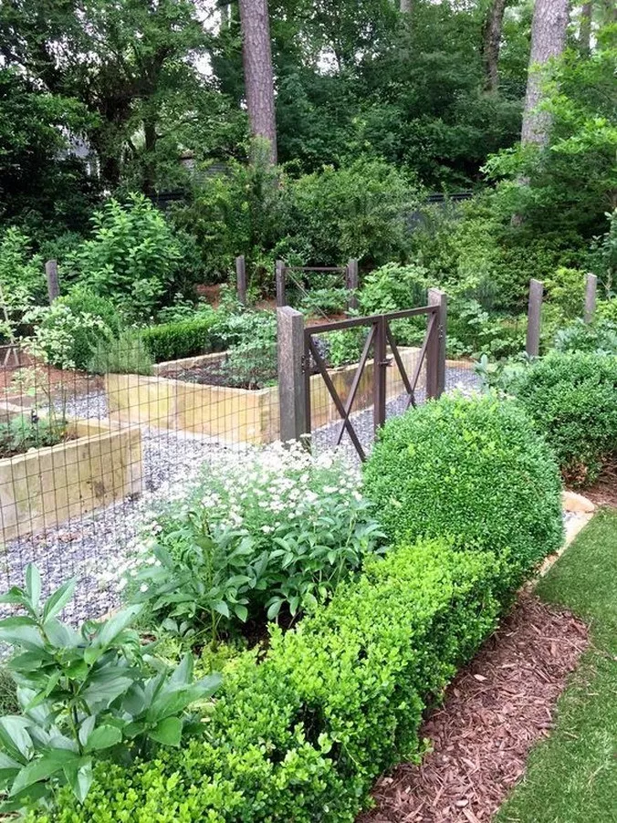 Most Productive Small Vegetable Garden Ideas