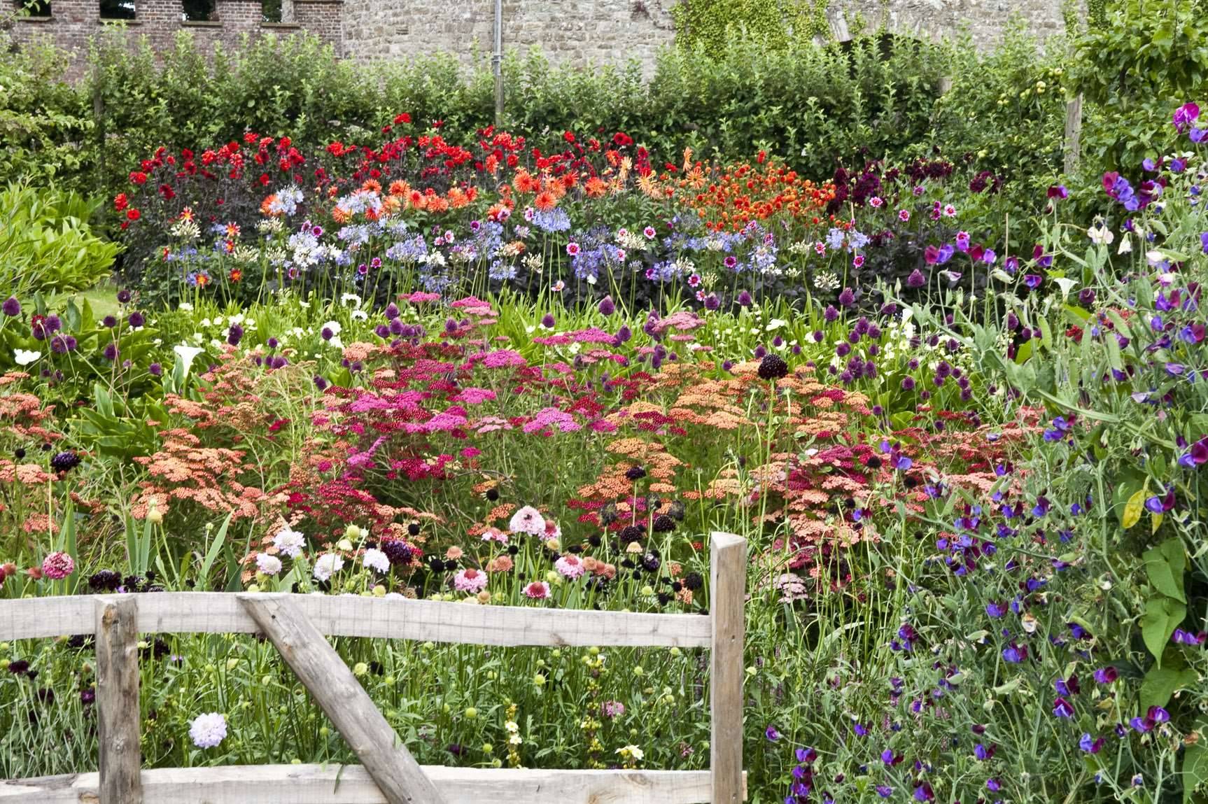 A Cutting Garden