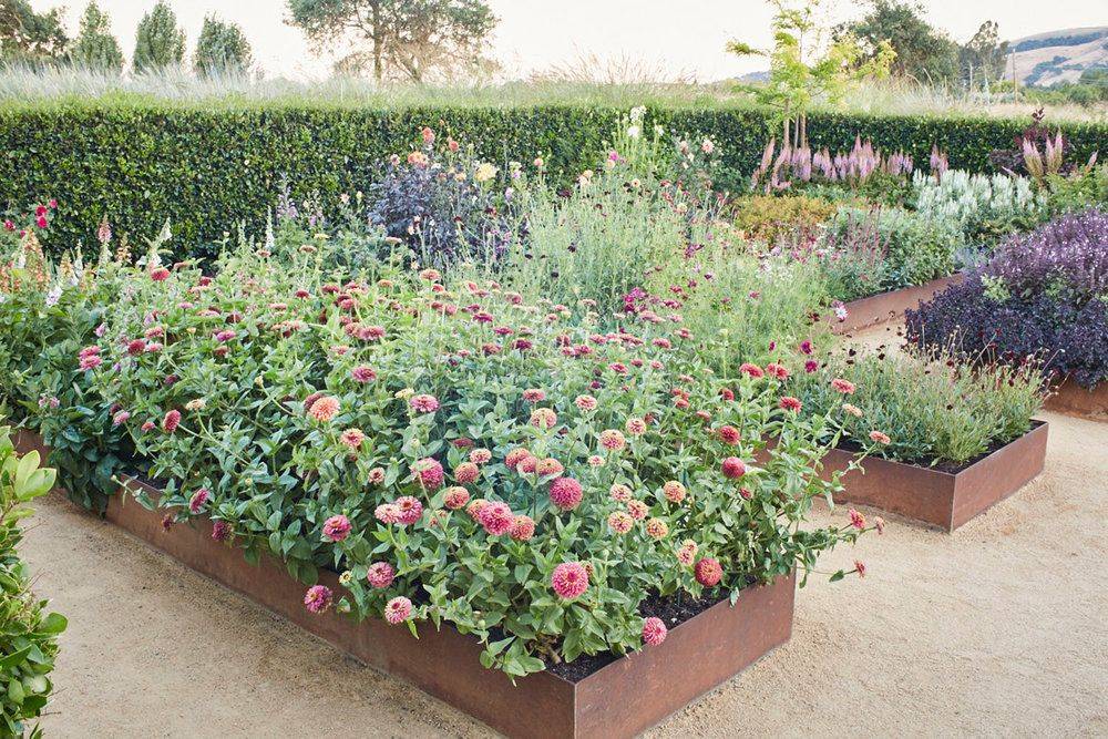 Raised Bed Cut Flower Garden Garden Design