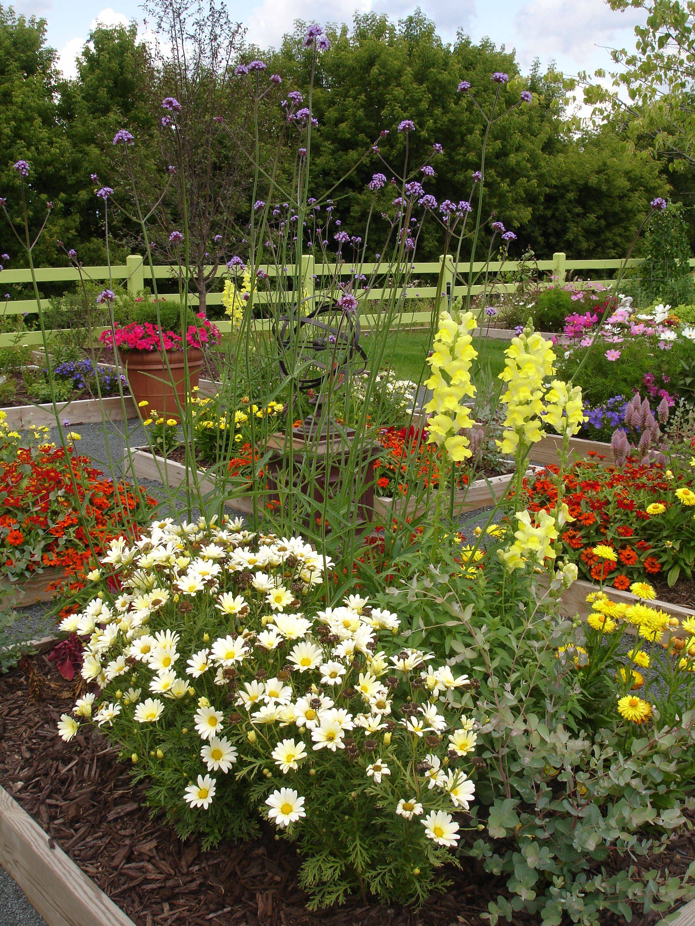 Small Space Cut Flower Garden Ideas