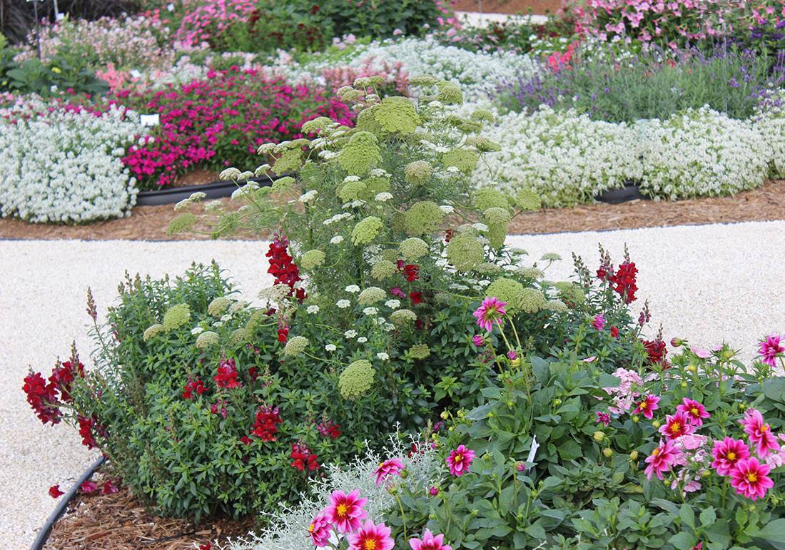 Small Space Cut Flower Garden Ideas