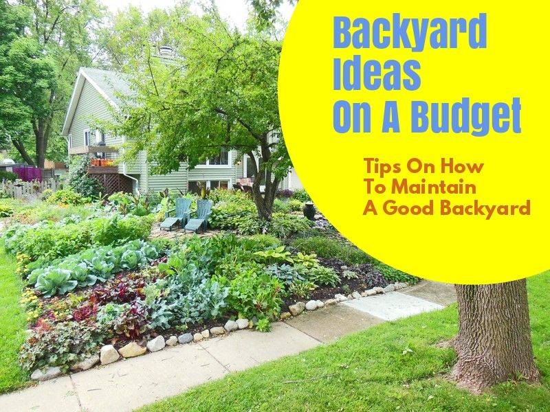 Some Cheap Backyard Gardening Ideas