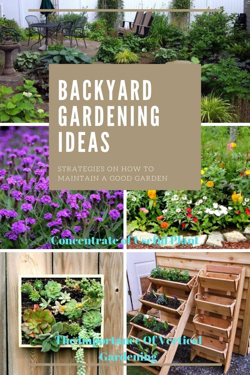 Vertical Garden Diy