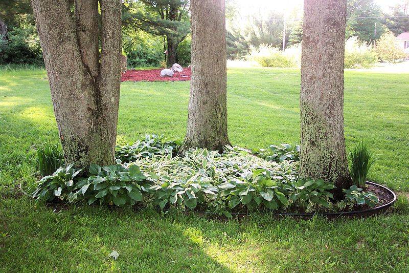 22 Unkempt Garden Ideas You Must Look | SharonSable