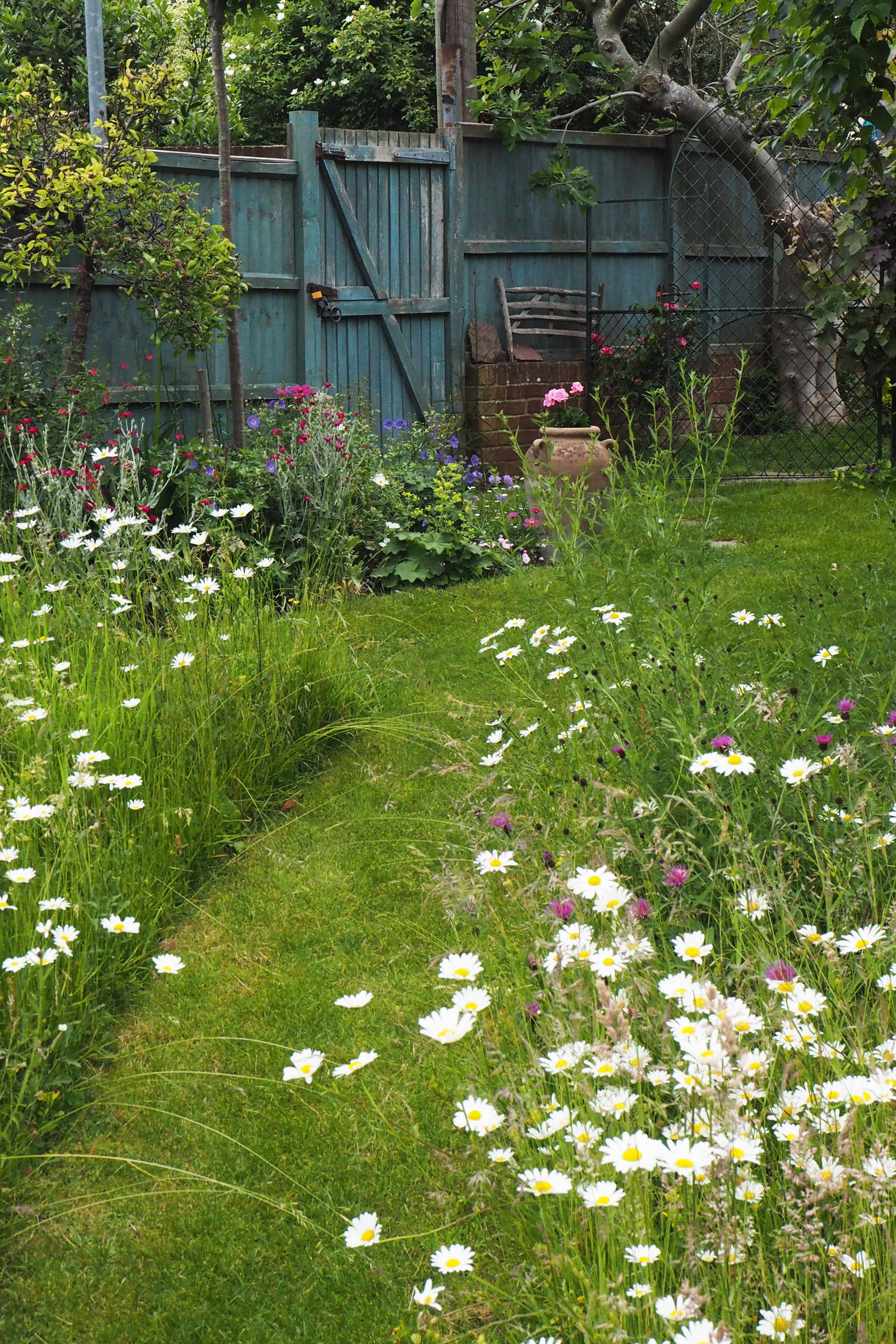 A Mediterranean Twist Meadow Garden