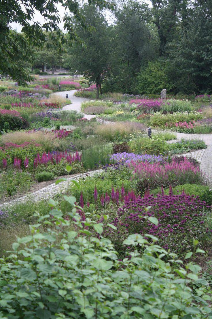 A Wildlifefriendly Meadow
