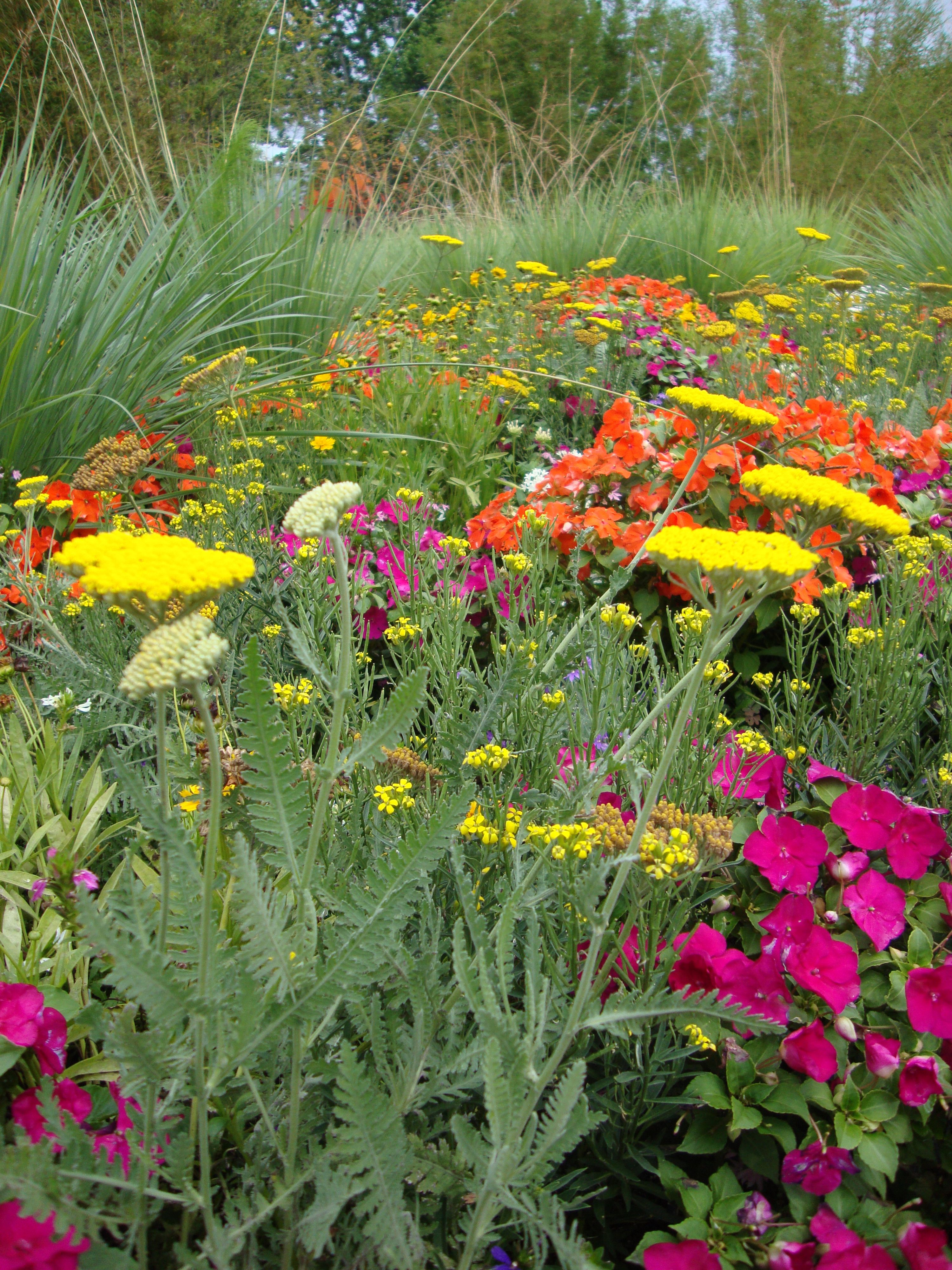 Meadow Garden Beautiful Small Cottage Flowers Garden
