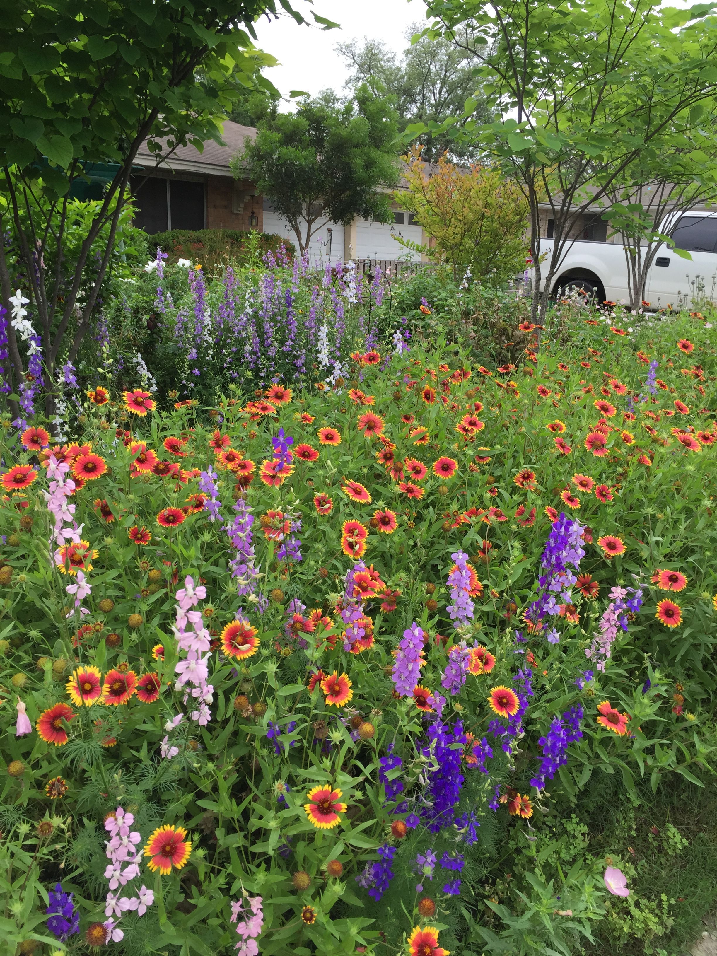 Meadow Garden Design Ideas Sunset Magazine