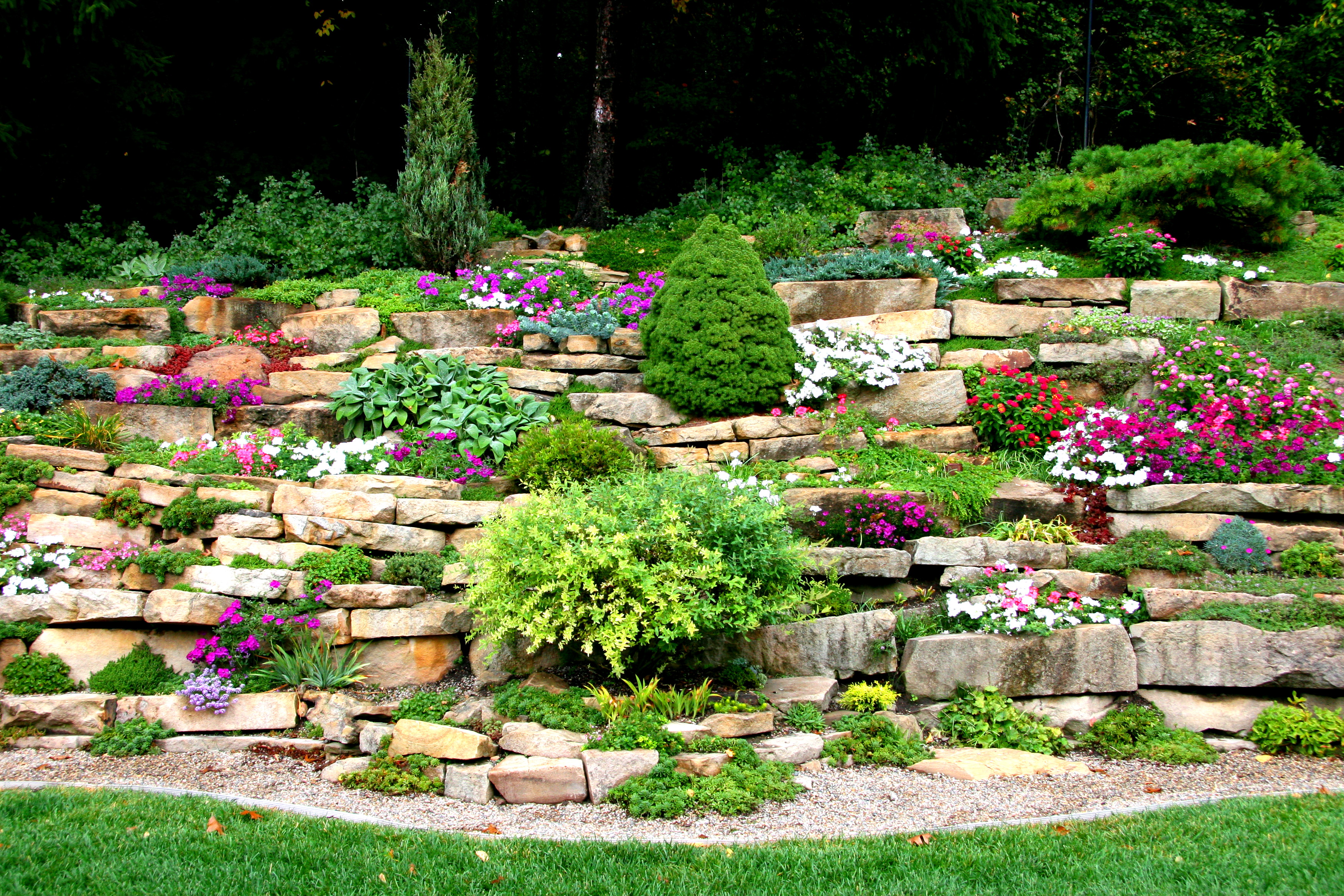 Lawn Alternatives