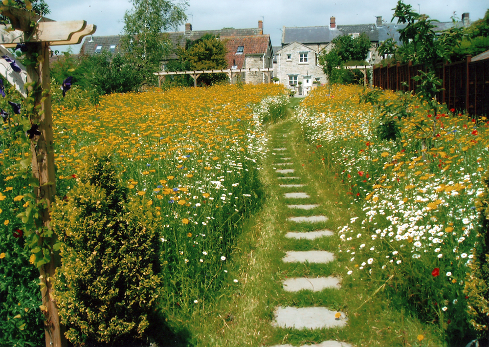 Wildflower Gardens
