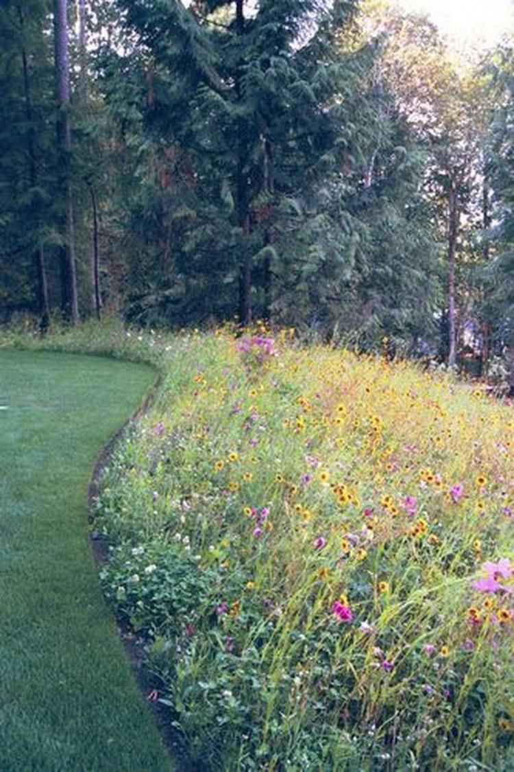 Relaxed Meadow Gardens