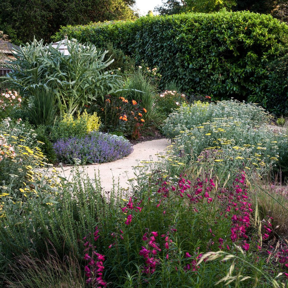 Wildflower Garden Ideas