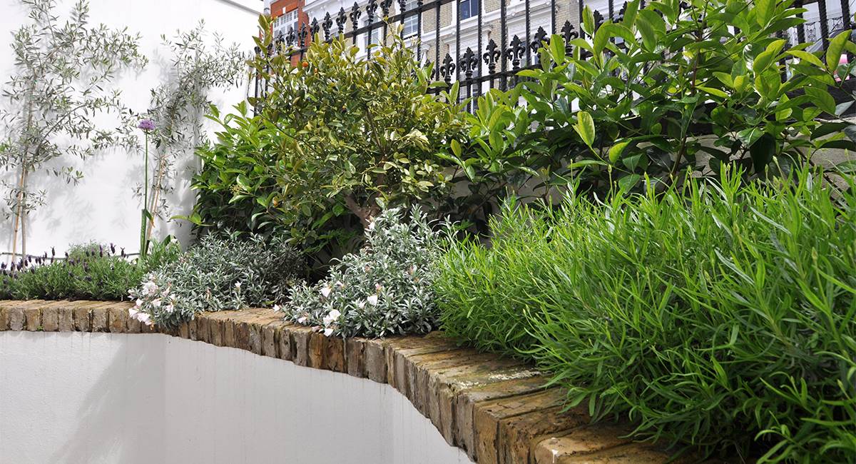 Basement Patio Backyard Landscaping Ideas Walkout Images Stamped