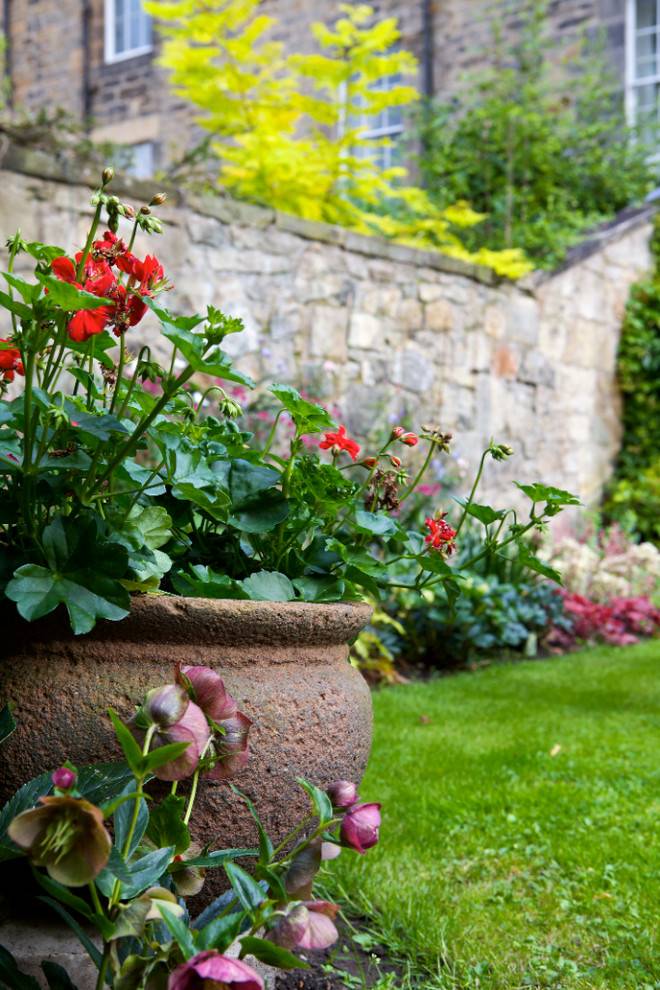 Scotland Easy Garden