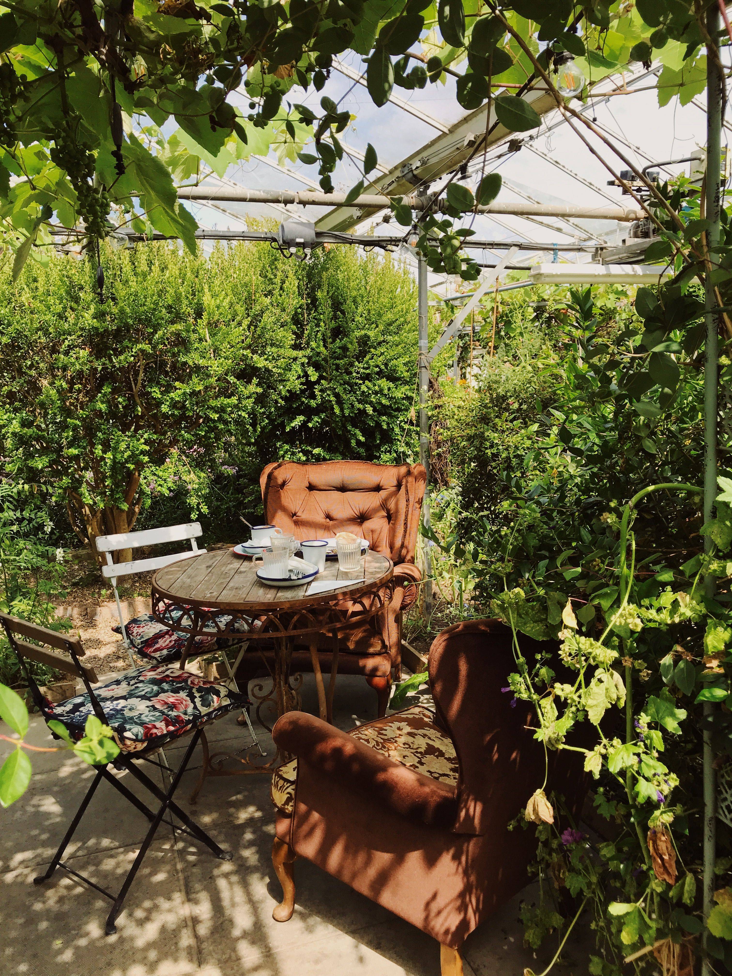 Georgian Back Garden Traditional Landscape Edinburgh By