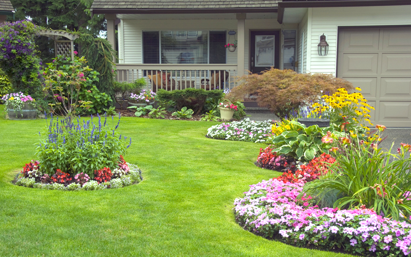 Genius Low Maintenance Rock Garden Design Ideas