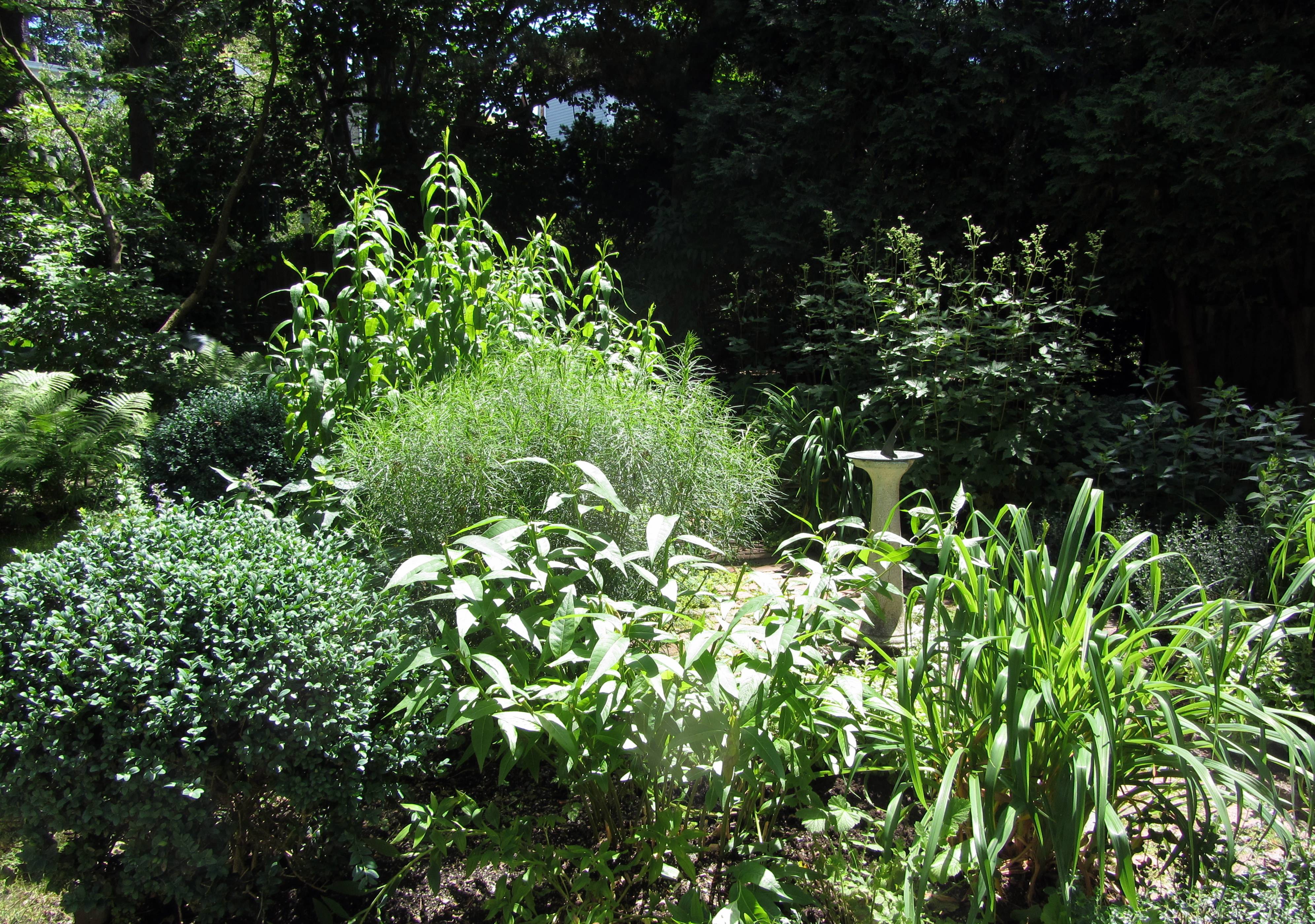 Bog Garden Cheltenham